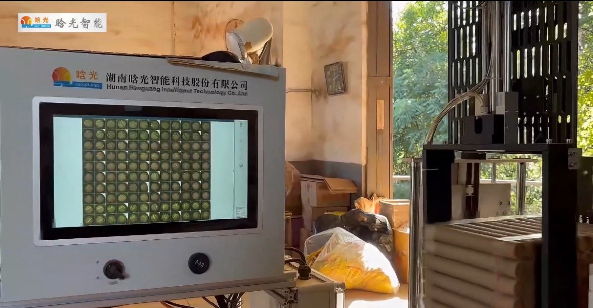 紙管煙花坨檢測(cè)